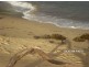 2/122 The Esplanade, Umina Beach NSW 2257