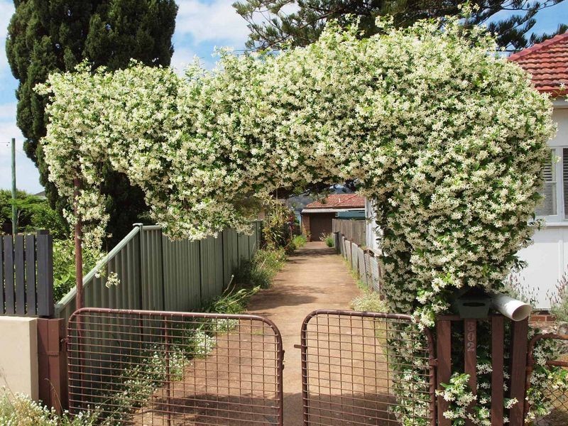 302 Burge Road, Woy Woy NSW 2256