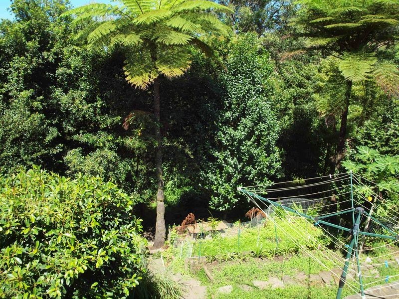 26 Penang Street, Point Clare NSW 2250