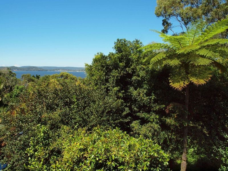 26 Penang Street, Point Clare NSW 2250