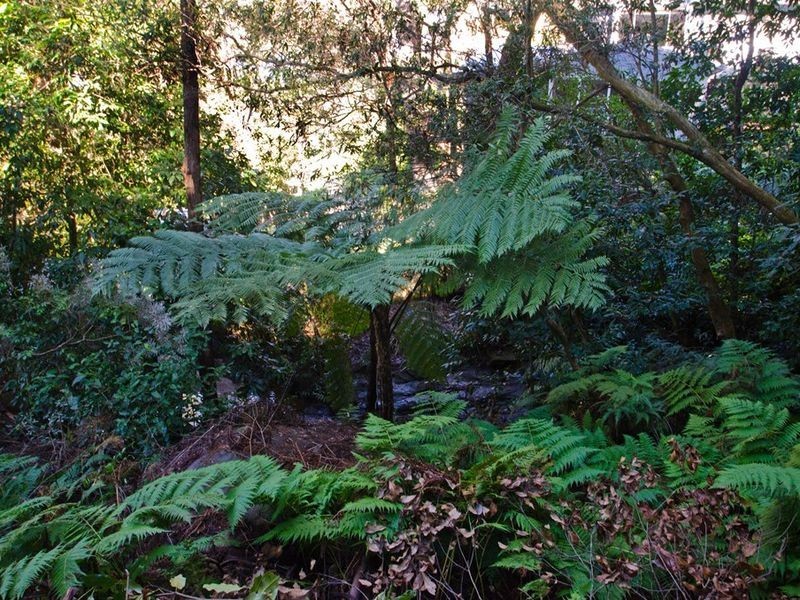 Horsfield Bay NSW 2256