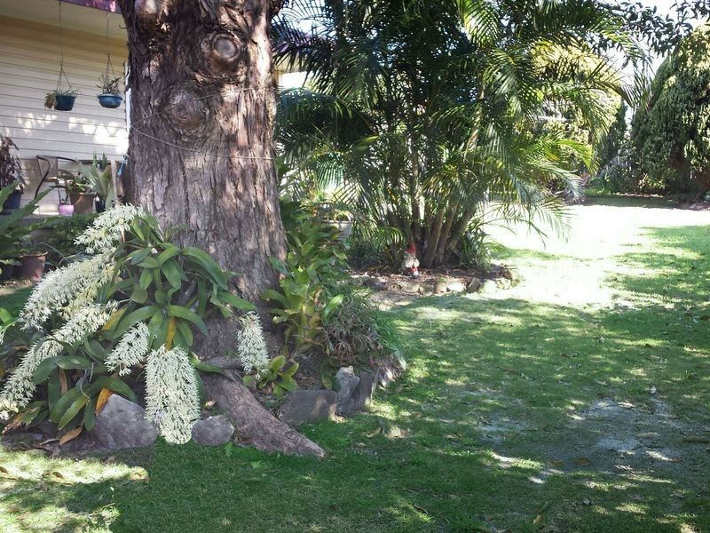 9 Yeddenba Street, Blue Bay NSW 2261