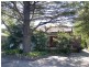 Woy Woy NSW 2256