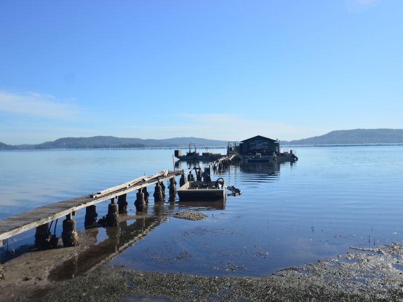 5 Brisbane Water Drive, Koolewong NSW 2256