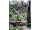 Horsfield Bay NSW 2256
