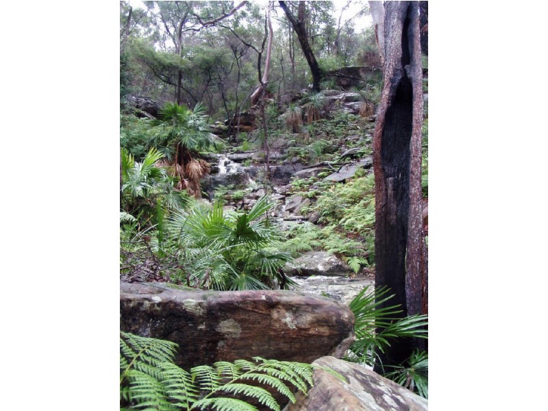 Horsfield Bay NSW 2256