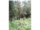 Horsfield Bay NSW 2256