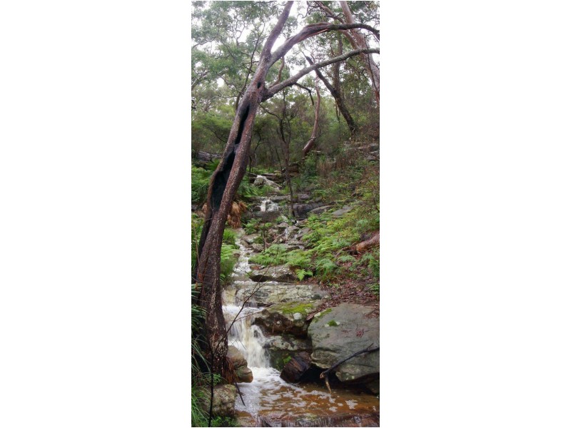 Horsfield Bay NSW 2256