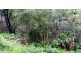 Horsfield Bay NSW 2256