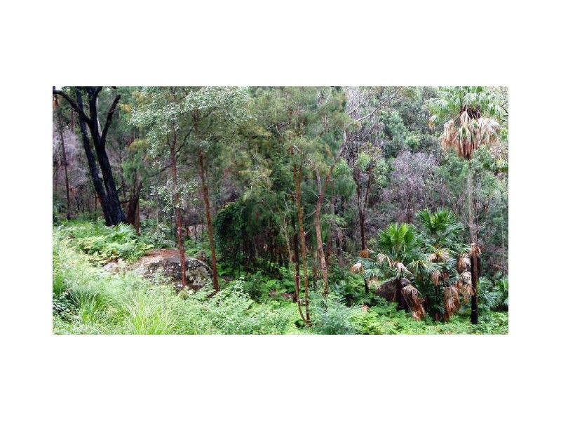 Horsfield Bay NSW 2256