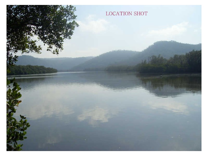 Mount White NSW 2250