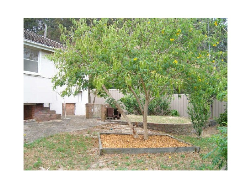 Blackwall NSW 2256
