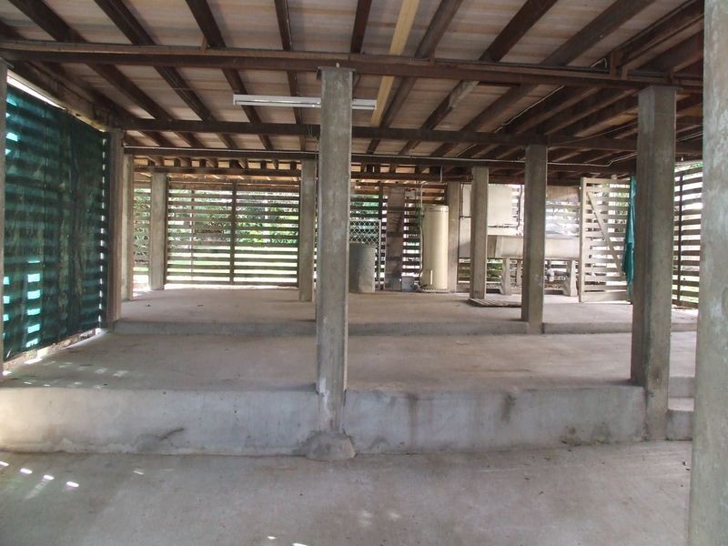 14 Effingham Street, Tarragindi QLD 4121