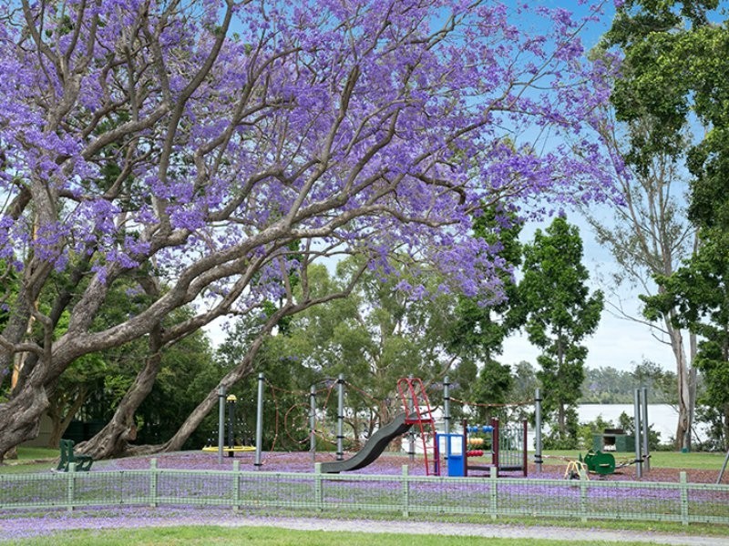 19 Luya Street, Fairfield QLD 4103