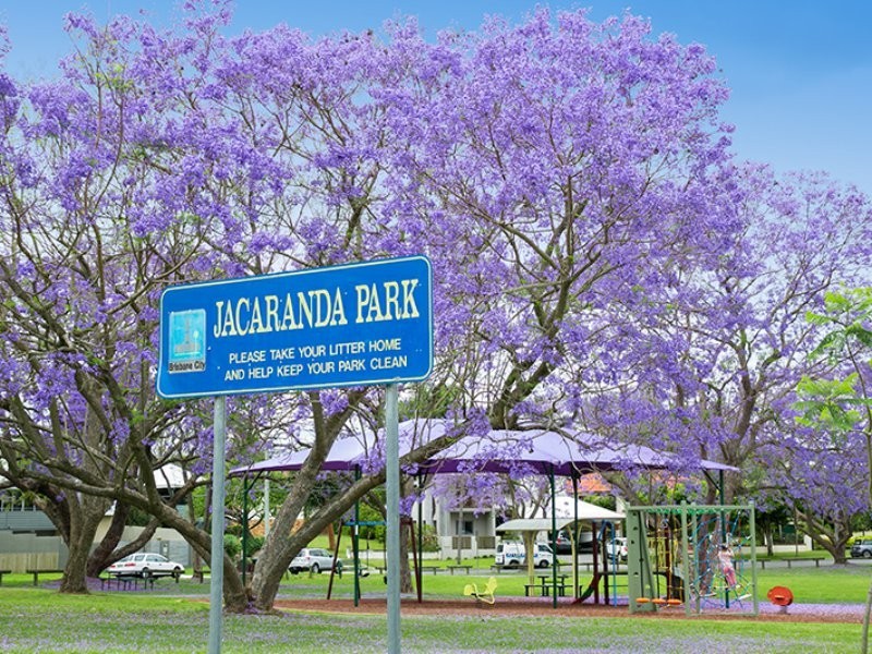 19 Orari Road, Yeronga QLD 4104