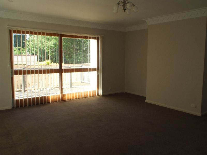 56 Clifton Street, Moorooka QLD 4105