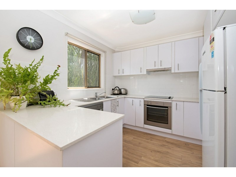 13/49 Wilton Terrace, Yeronga QLD 4104