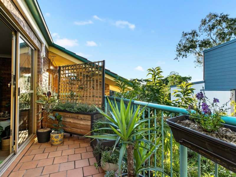 13/49 Wilton Terrace, Yeronga QLD 4104