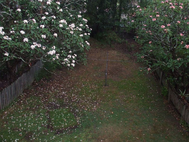 60 Fanny Street, Annerley QLD 4103