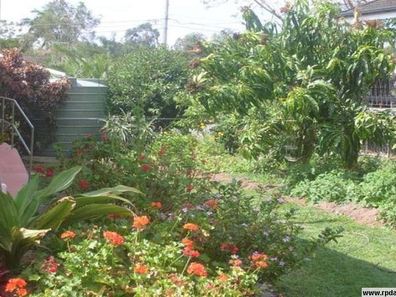 66 Merchiston Street, Acacia Ridge QLD 4110