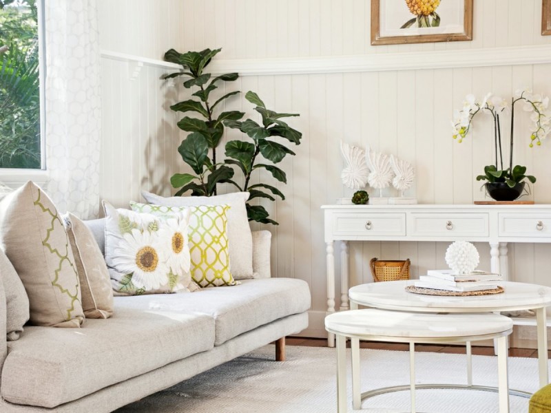 10 Forsyth Street, Fairfield QLD 4103