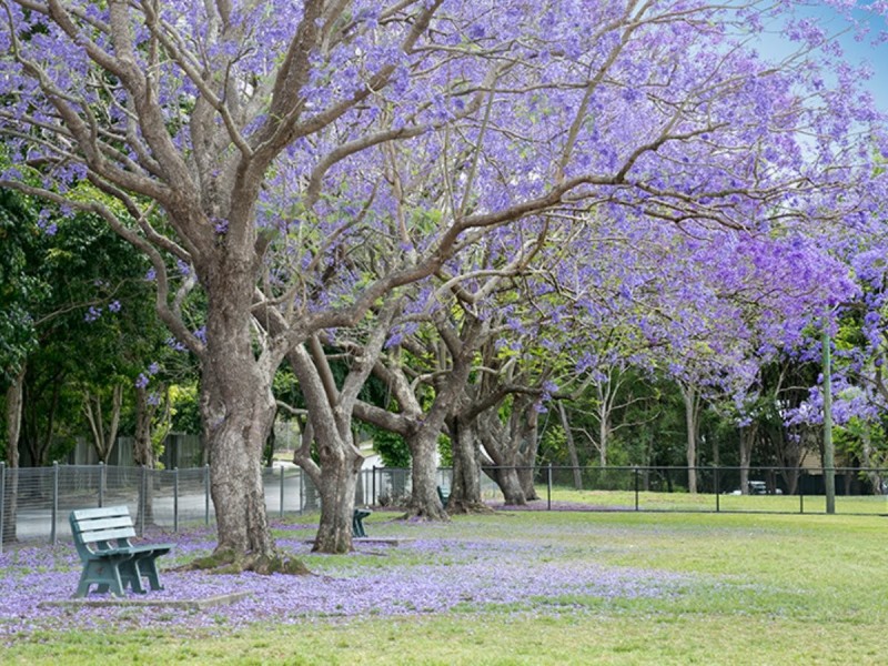 3/1 Victoria Street, Fairfield QLD 4103