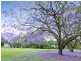 19 Crutchley Street, Fairfield QLD 4103