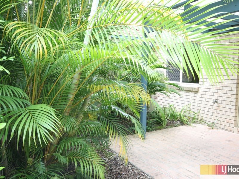 6/118 Hamilton Road, Moorooka QLD 4105