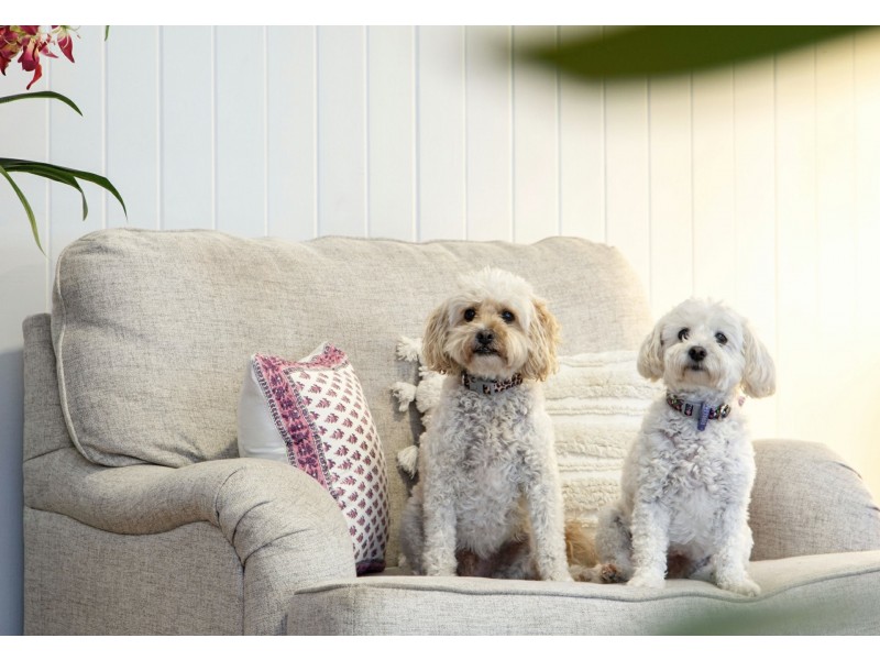 60 Carville Street, Annerley QLD 4103