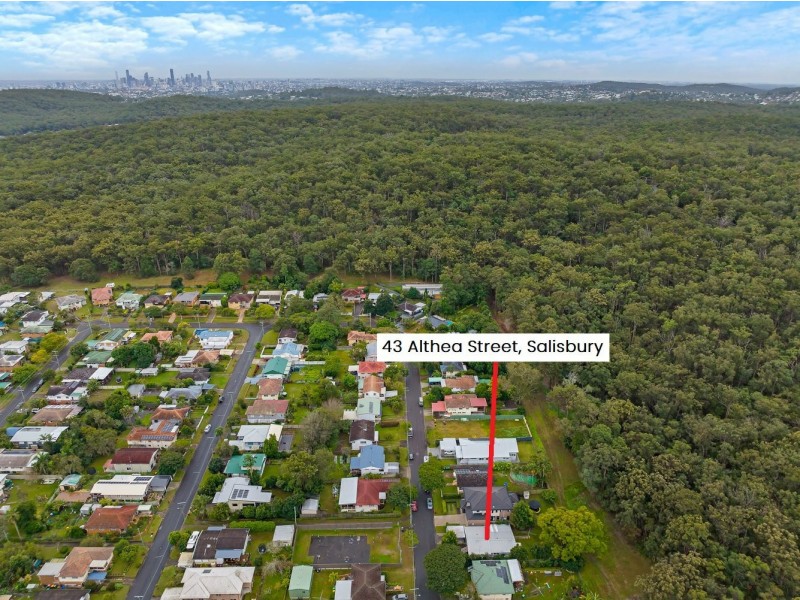 43 Althea Street, Salisbury QLD 4107