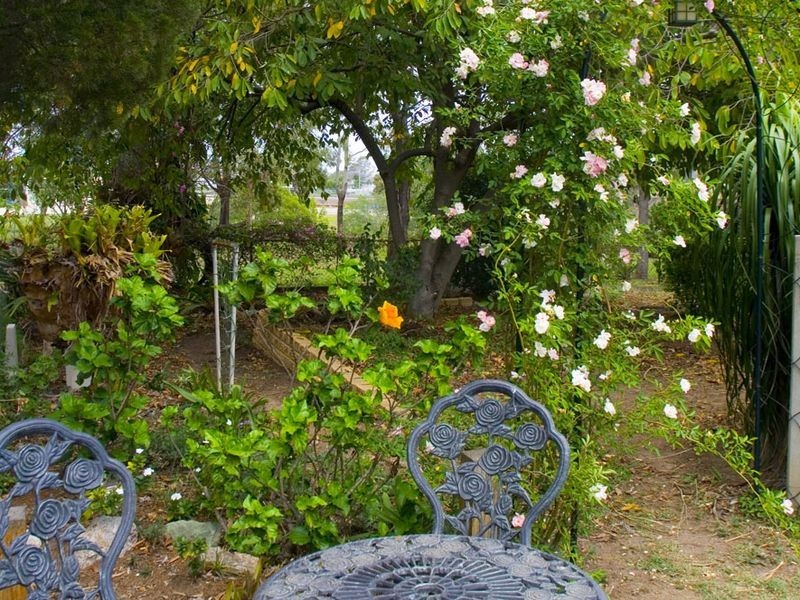 78 Muriel Avenue, Moorooka QLD 4105