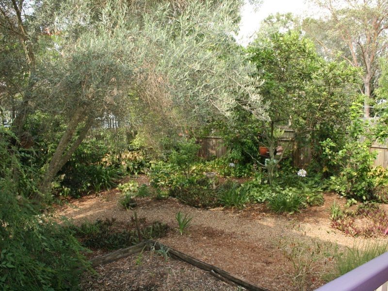 213 Hyde Road, Yeronga QLD 4104