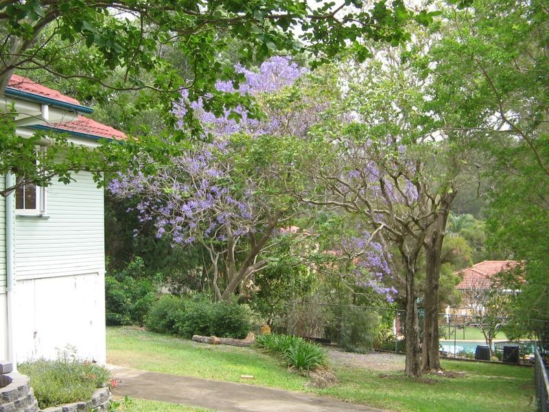 125 Pozieres Road, Tarragindi QLD 4121