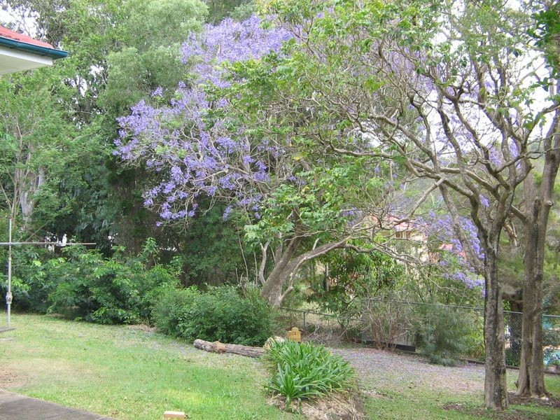 125 Pozieres Road, Tarragindi QLD 4121