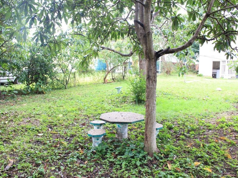 51 Aubigny Street, Annerley QLD 4103