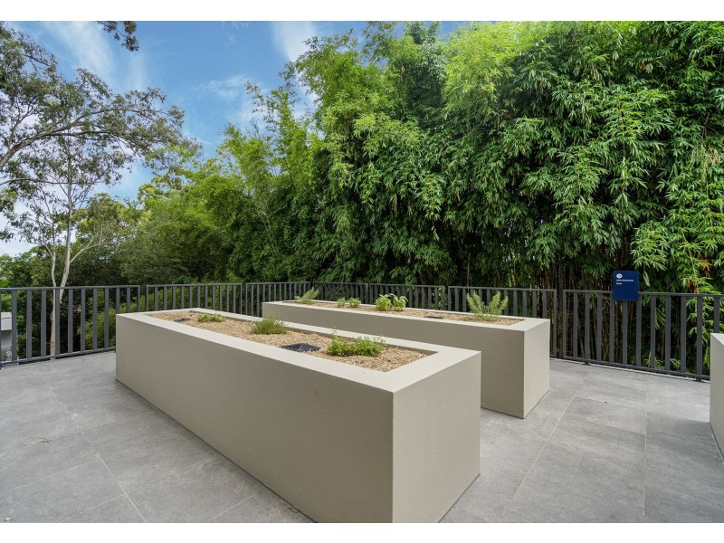 1204/11 Peter Doherty Street, Dutton Park QLD 4102