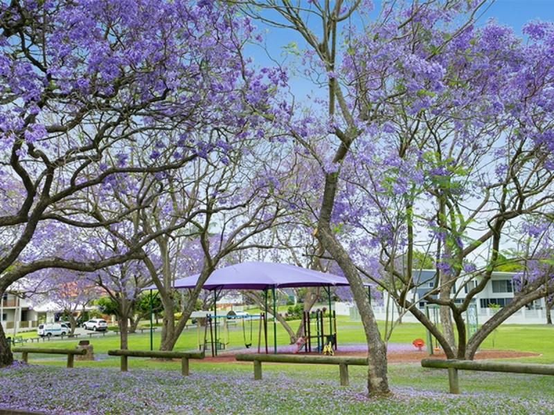 35 Ormuz Road, Yeronga QLD 4104