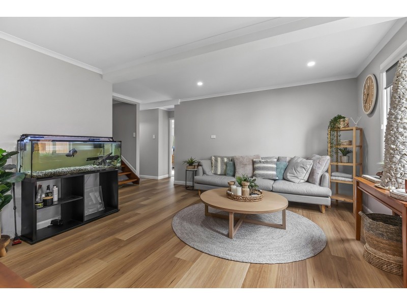 49 Ortive Street, Yeronga QLD 4104