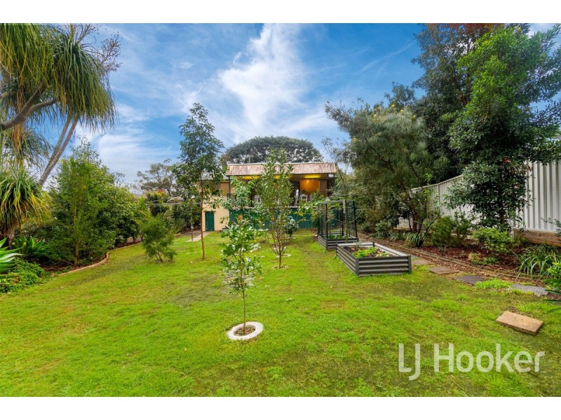 41 Althea Street, Salisbury QLD 4107