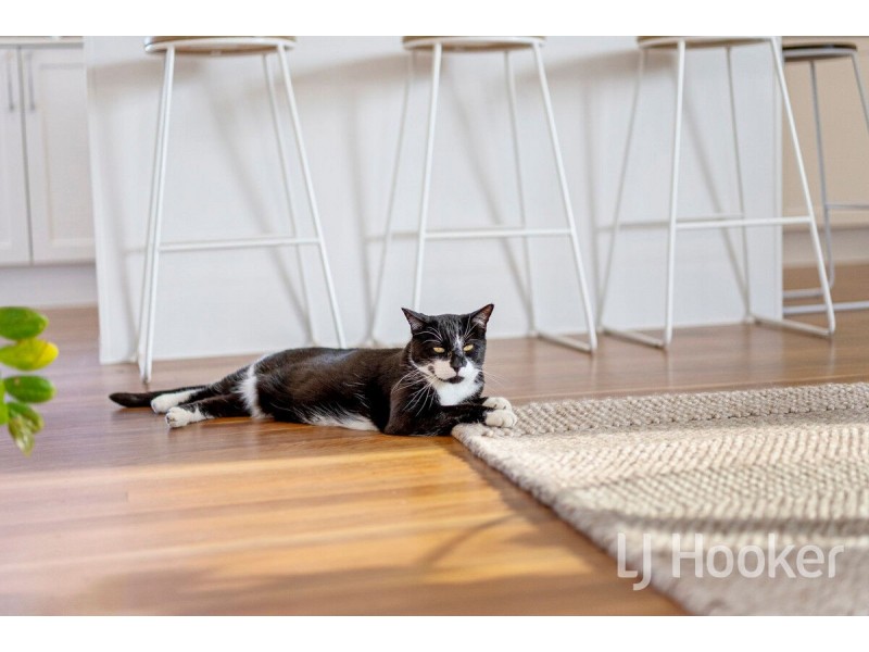 14 Dunkeld Street, Acacia Ridge QLD 4110