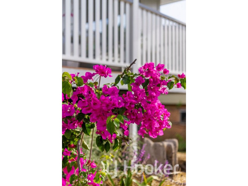 14 Dunkeld Street, Acacia Ridge QLD 4110