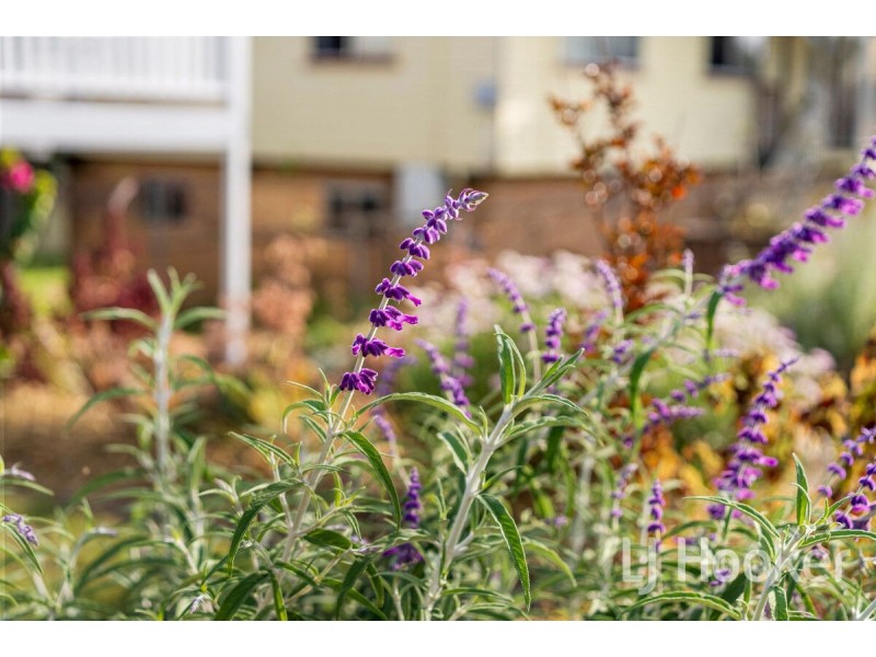 14 Dunkeld Street, Acacia Ridge QLD 4110