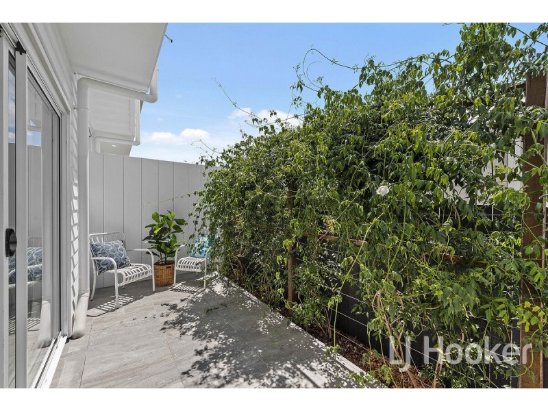 10 Pampas Street, Moorooka QLD 4105