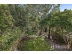 62 Cronin Street, Annerley QLD 4103