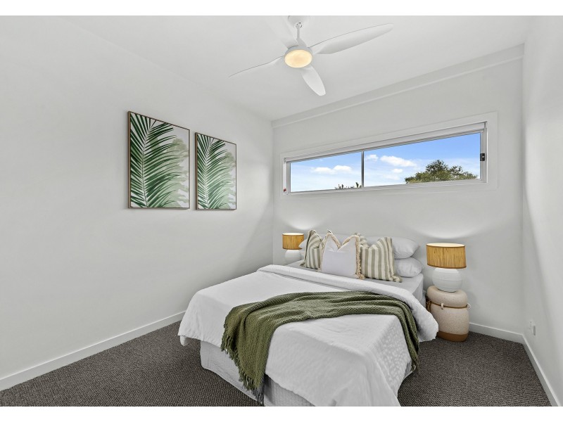 8 Pampas Street, Moorooka QLD 4105