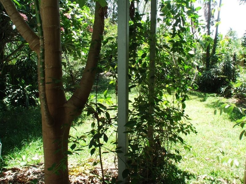 5 Luya Street, Fairfield QLD 4103