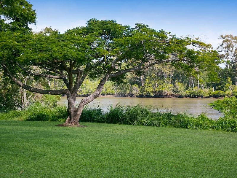 7 Esplanade, Yeronga QLD 4104