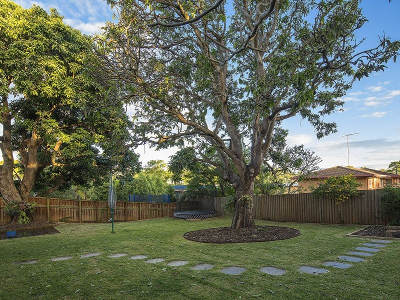 17 Cavan Street, Annerley QLD 4103