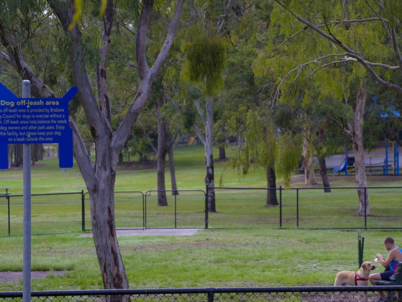 38 Kingsley Parade, Yeronga QLD 4104