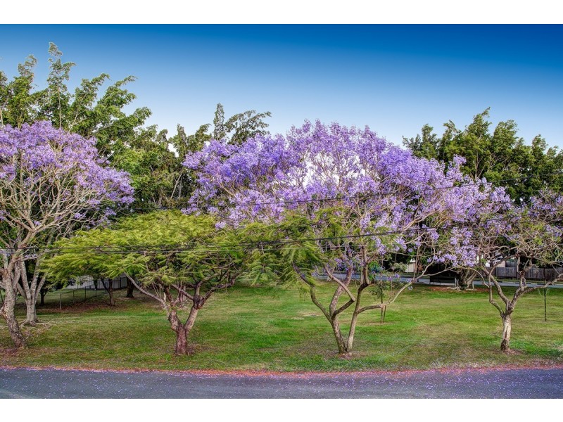 5 Glengregory Street, Fairfield QLD 4103